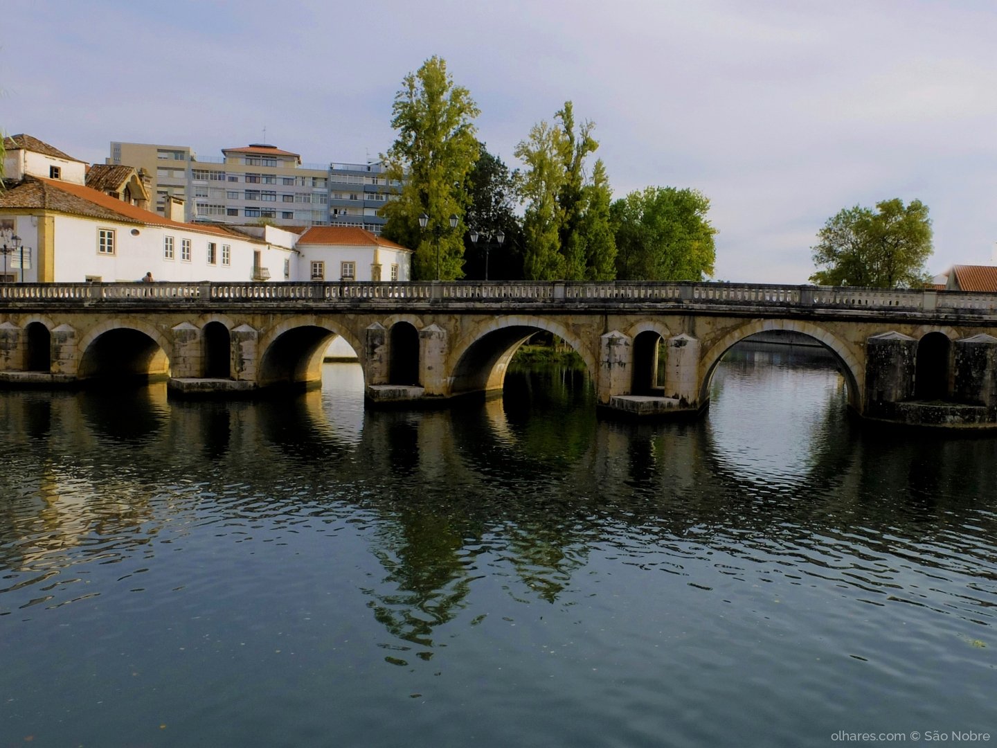 Ponte Velha