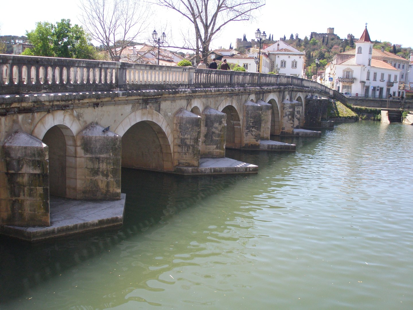 Ponte Velha