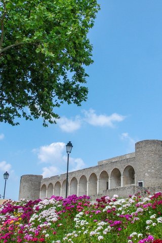 Castelo-de-Abrantes