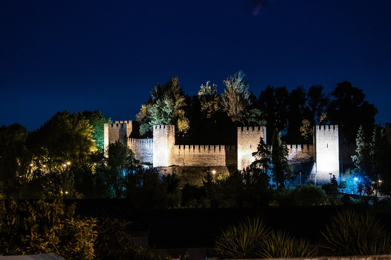 Castelo de Torres Novas