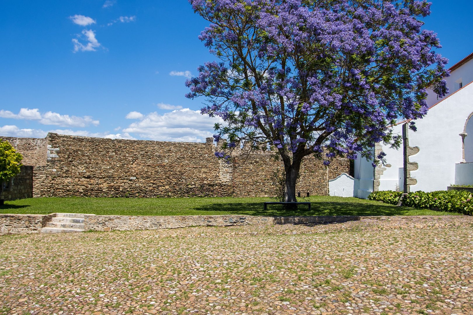 Igreja de Santa Maria do Castelo