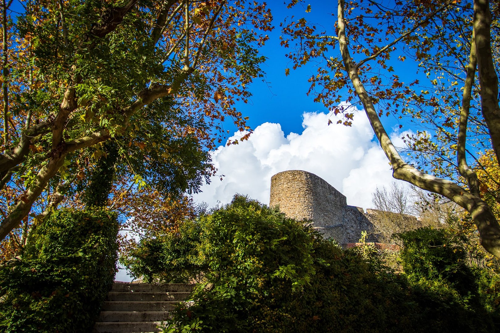 Fortaleza de Abrantes