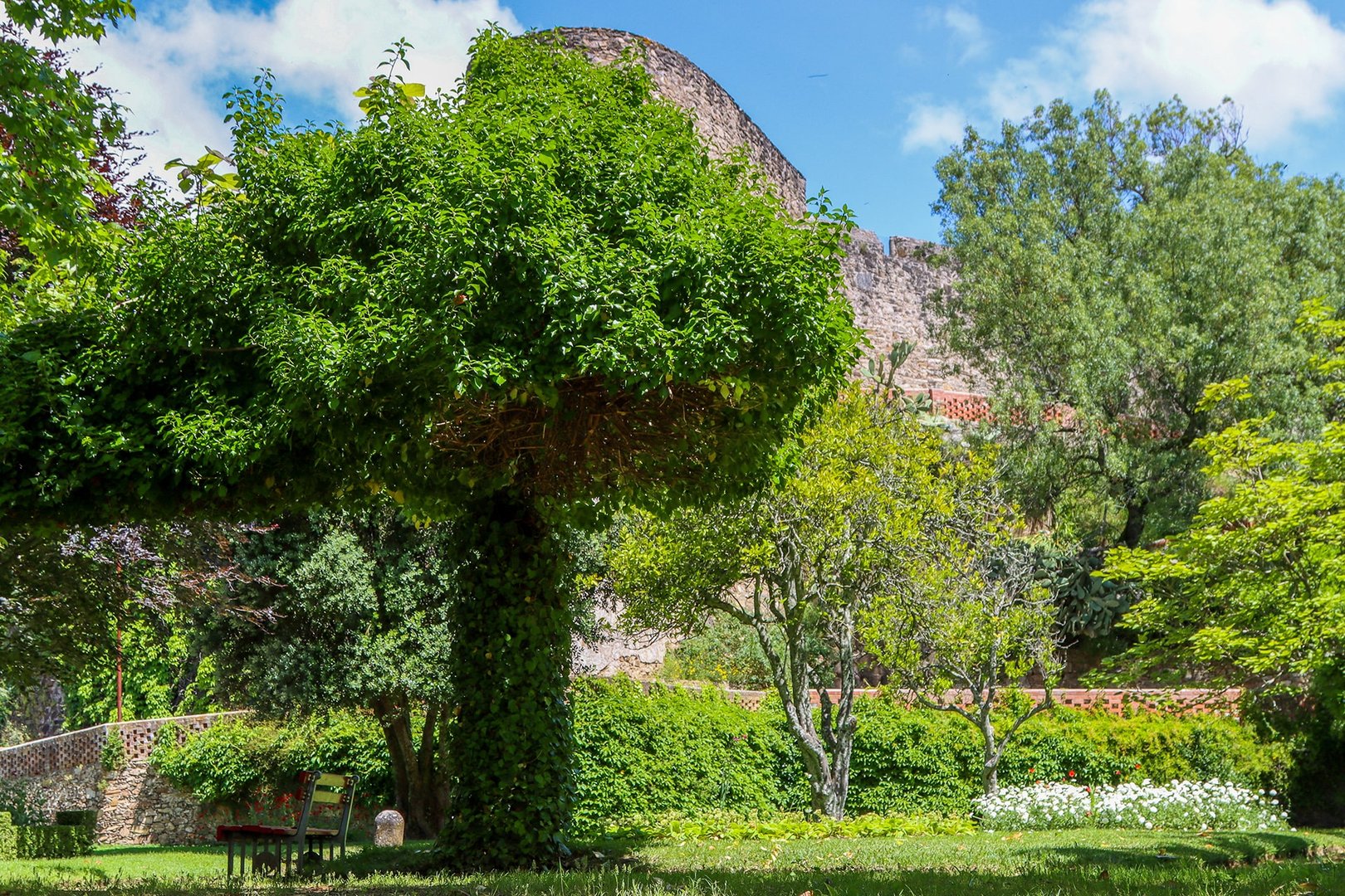 Fortaleza de Abrantes